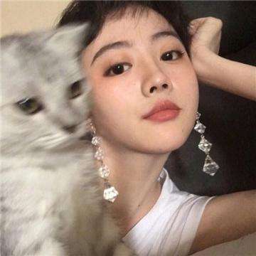 放开那三国2离线版下载